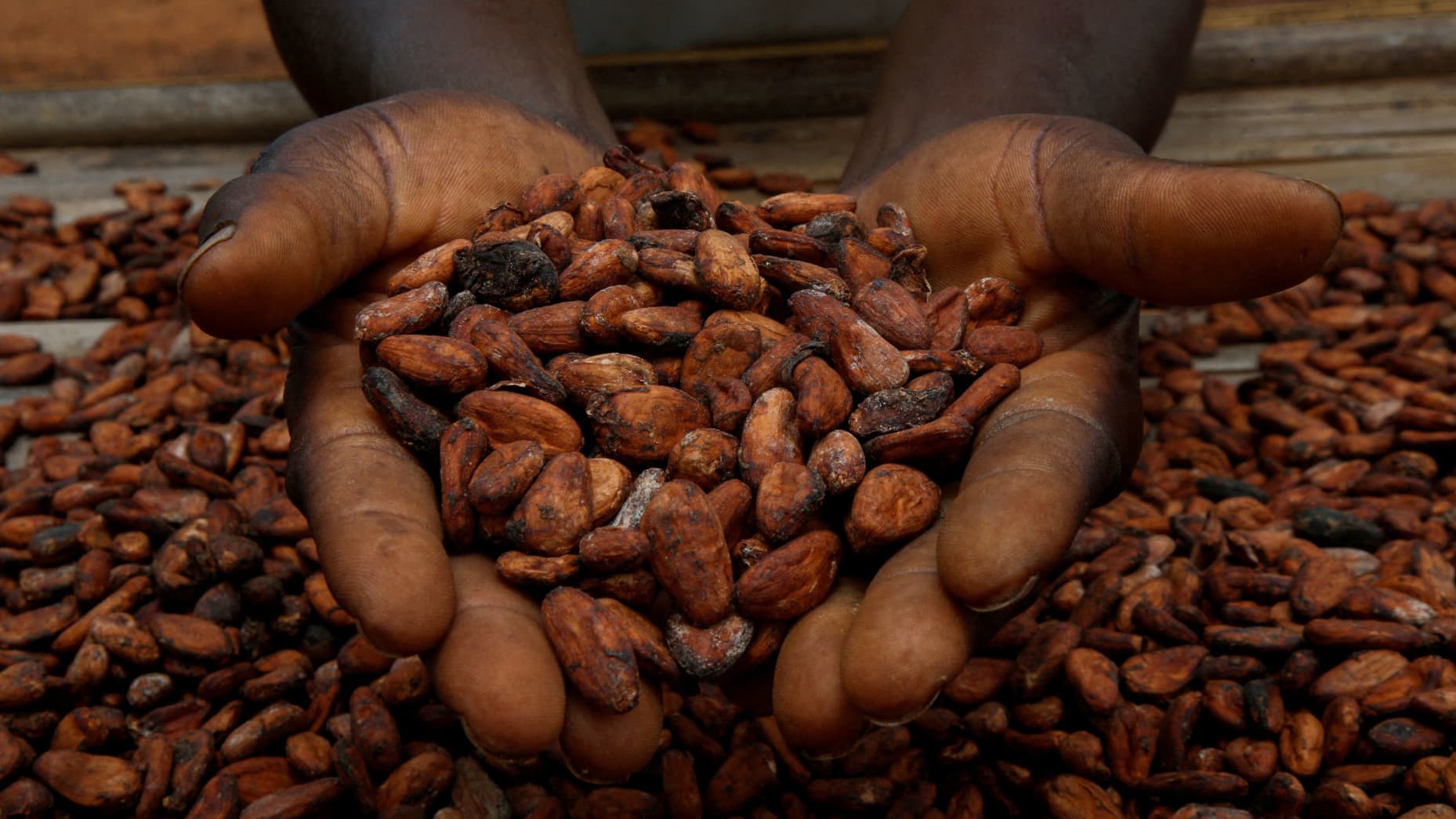 107392986-17114704652024-03-18t151531z_1895541940_rc2co0a0r3k6_rtrmadp_0_cocoa-ivorycoast-prices